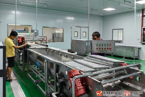 总投资20亿元 陆川猪产业园技术开发刷新进度条