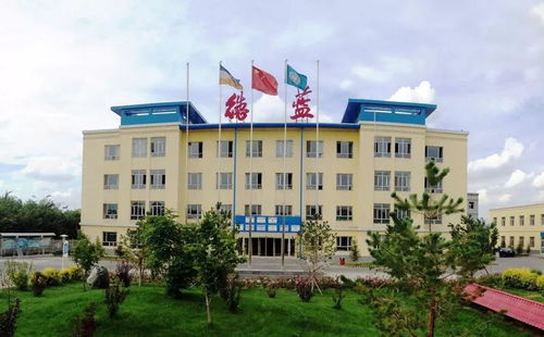 曾凡付 以创新为笔，绘就新疆水技术发展的时代画卷